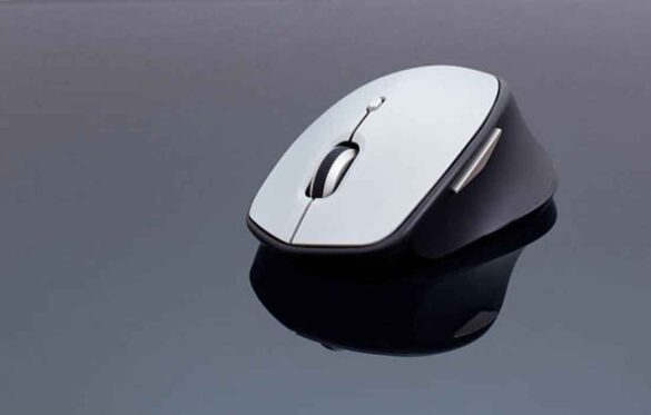 Ergonomic Mice