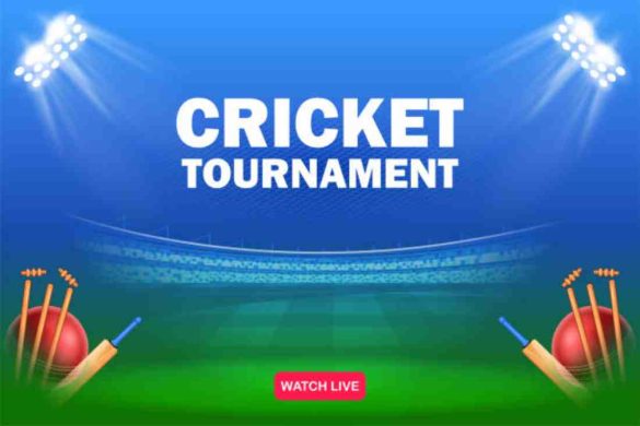 cricket bio for instagram